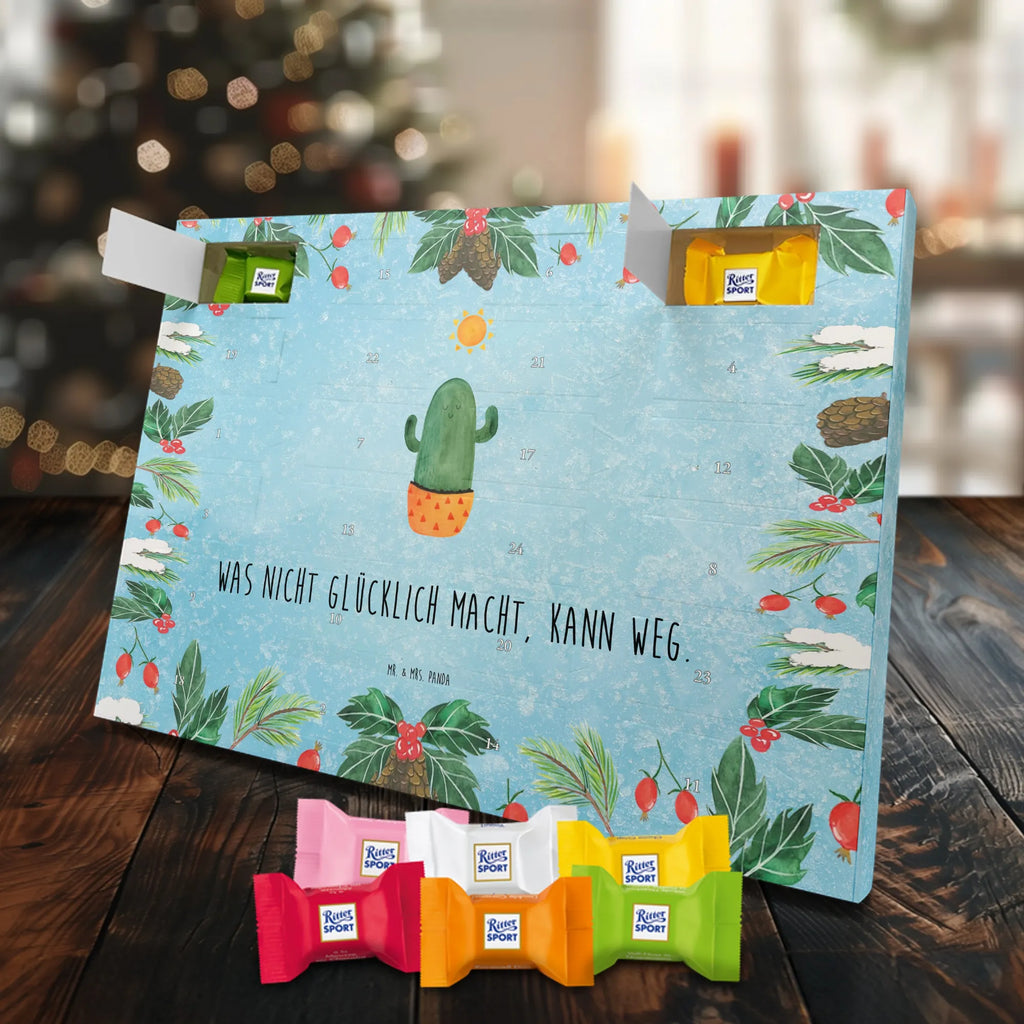  Kaktus Słońce Kaktusy