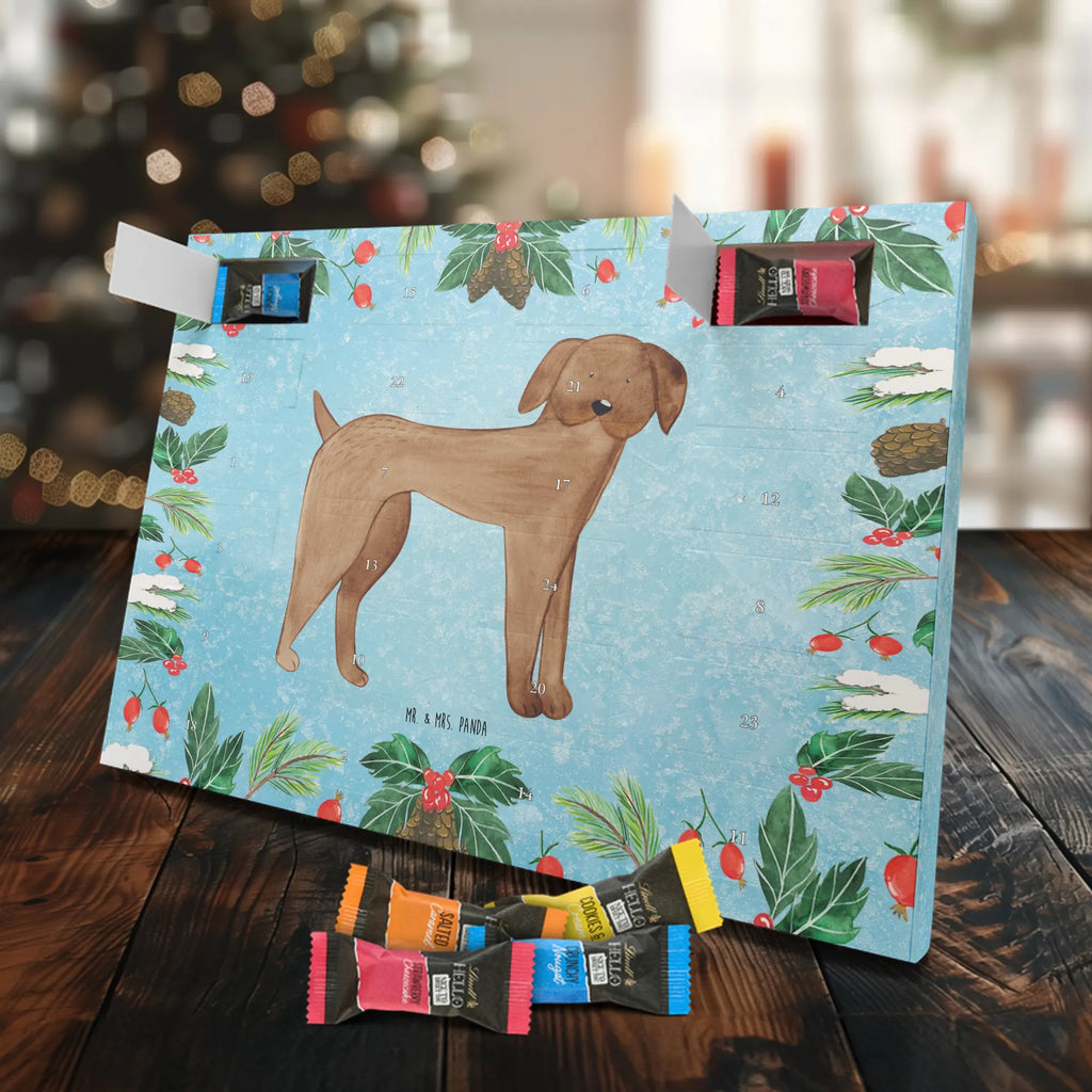 Chocolate advent calendar Dog mastiff mutt, dog sayings, love dogs, dog mama, funny gifts for dog owners, woof, what do you give a dog lover, dog breed, Christmas gifts for dogs, gifts for dogs, bag with dog print, love for dogs, hound, dog decorative items, Dogs