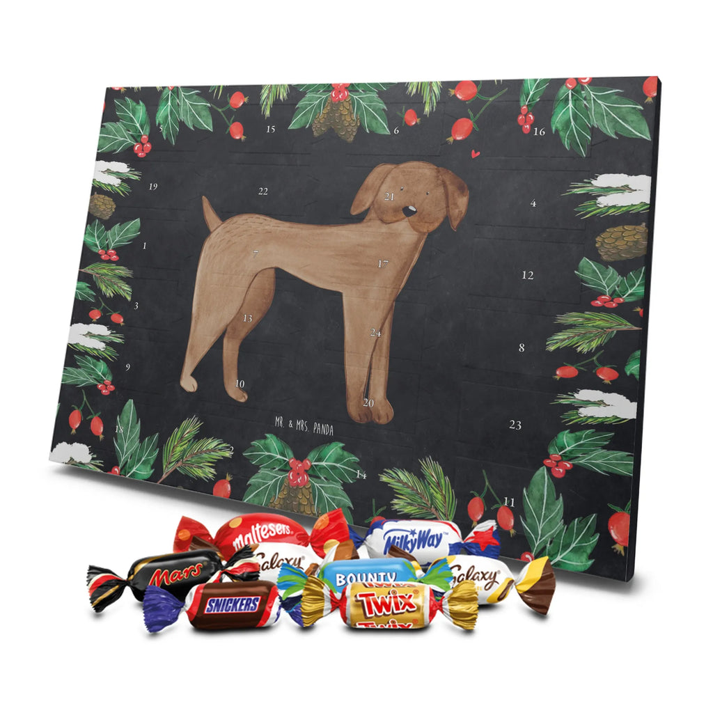 Chocolate advent calendar Dog mastiff mutt, dog sayings, love dogs, dog mama, funny gifts for dog owners, woof, what do you give a dog lover, dog breed, Christmas gifts for dogs, gifts for dogs, bag with dog print, love for dogs, hound, dog decorative items, Dogs