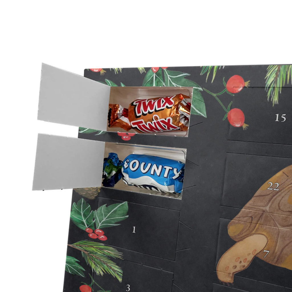 Schokoladen-Weihnachtskalender Schildkröte Marschieren Schokoladen-Weihnachtskalender, süßigkeiten kalender, weihnachtskalender schoko, adventskalender schoko, Weihnachtskalender, pralinen adventskalender, Schoko-Adventskalender, süßigkeiten adventskalender, schoko kalender, Weihnachtskalender Schokolade, schoko weihnachtskalender, schokoladen kalender, Schokoladen Adventskalender, Schokoladen-Adventskalender, kalender weihnachten, Schoko Adventskalender, Weihnachten Adventskalender, schokolade adventskalender, Adventskalender, kalender schokolade, adventskalender pralinen, Weihnachts Kalender, adventskalender süßigkeiten, Adventskalender Schokolade, schokoladenkalender, schokokalender, Urlaub, Meer, Meerestiere, Lieblingsmensch, Inspiration, Neustart, Get Lost, Schildkröten, Abenteuer, Reiselust, Motivation, Schildkröte