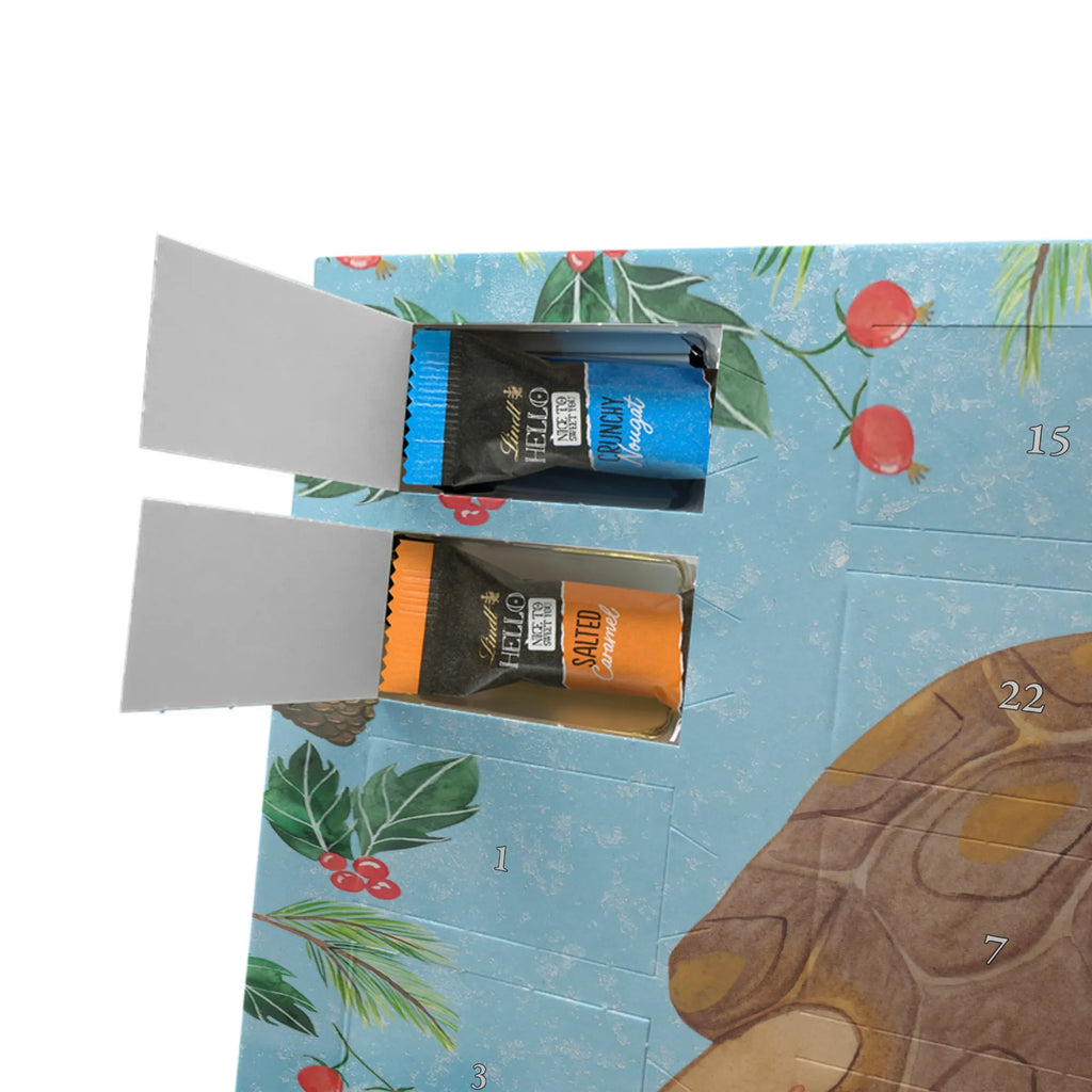 Chocolate advent calendar tortoise March manatee, vacation, aquatic animals, deep sea, underwater animals, seafood fans, underwater world, seafood posters, seafood decoration, whale, reef, water world, lobster, sea urchin, gift ideas, shrimp, narwhal, corals, gifts for seafood lovers, platypus, crocodile, shells, Seafood, ocean, adventure, new start, favourite person, turtles