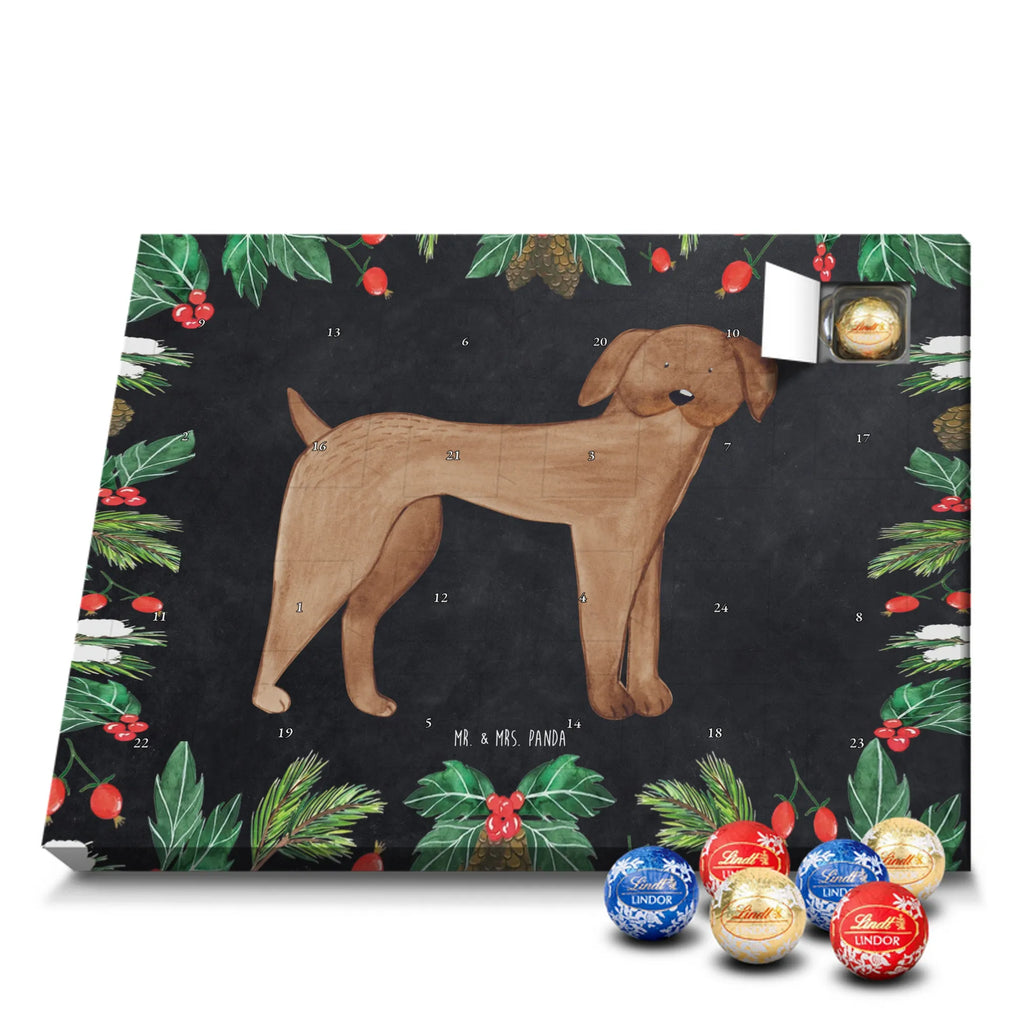 Chocolate advent calendar Dog mastiff mutt, dog sayings, love dogs, dog mama, funny gifts for dog owners, woof, what do you give a dog lover, dog breed, Christmas gifts for dogs, gifts for dogs, bag with dog print, love for dogs, hound, dog decorative items, Dogs