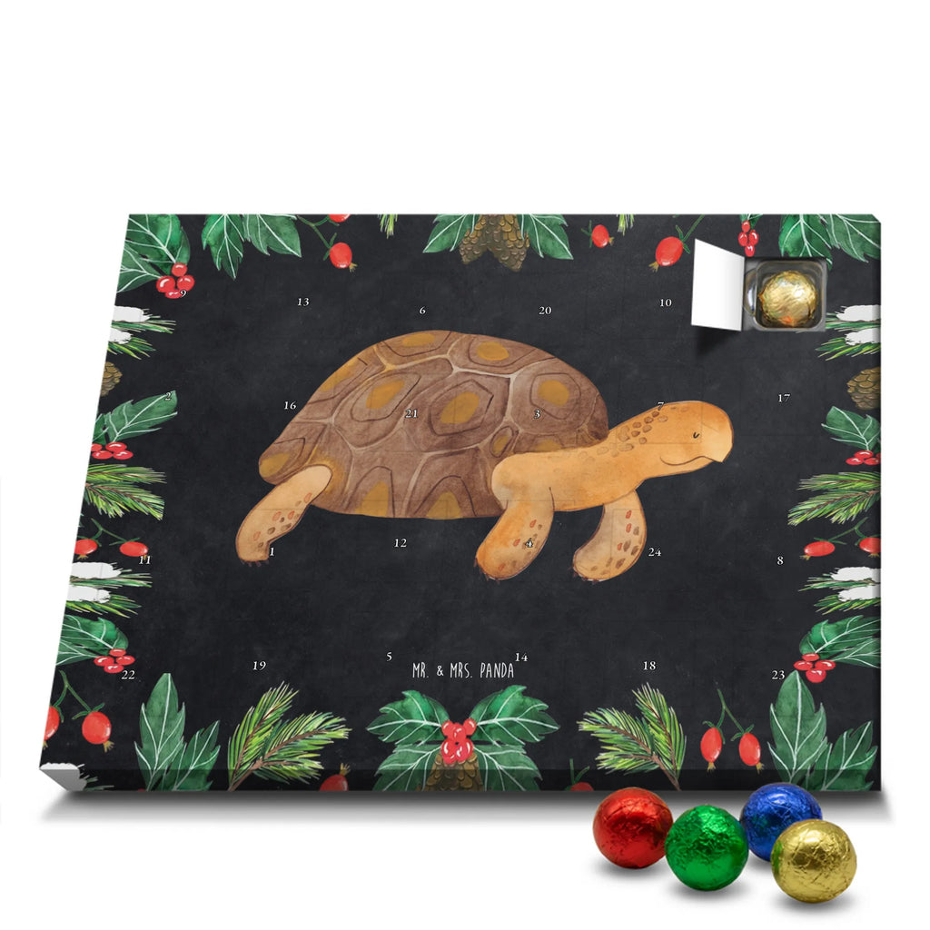 Chocolate advent calendar tortoise March manatee, vacation, aquatic animals, deep sea, underwater animals, seafood fans, underwater world, seafood posters, seafood decoration, whale, reef, water world, lobster, sea urchin, gift ideas, shrimp, narwhal, corals, gifts for seafood lovers, platypus, crocodile, shells, Seafood, ocean, adventure, new start, favourite person, turtles