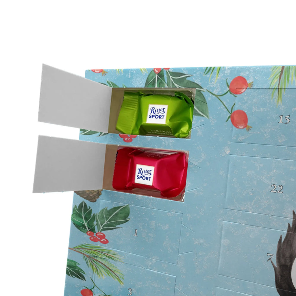 Chocolate advent calendar skunk Girl Laugh, Predator, Wild animal, Stinky, Live