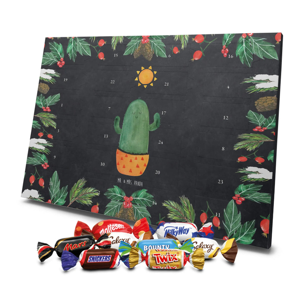 Chocolate advent calendar cactus Sun cactus, cactuses, plants, small green cactus, cactus plant, lovesickness, new start, gift idea, sun, lovesickness gift, divorce, girlfriend, adultery, separation, love cactus love