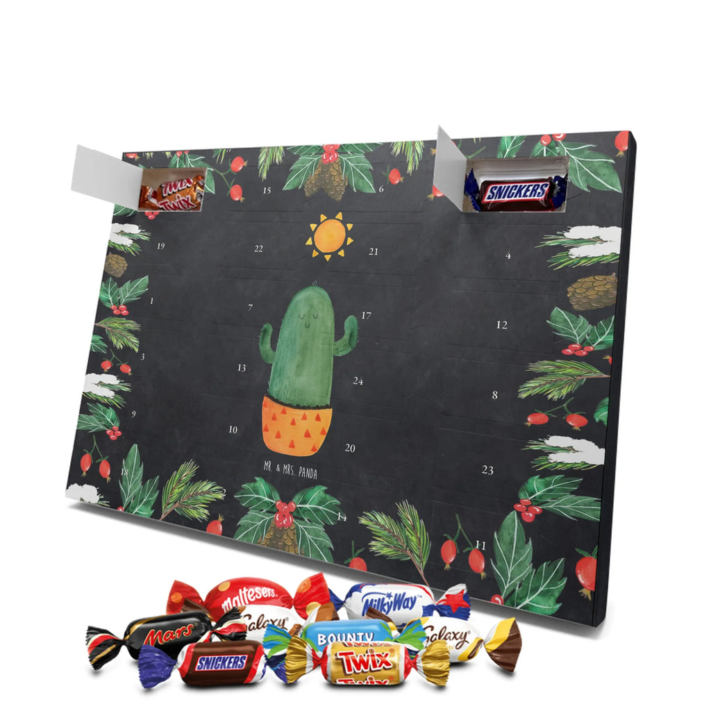 Chocolate advent calendar cactus Sun cactus, cactuses, plants, small green cactus, cactus plant, lovesickness, new start, gift idea, sun, lovesickness gift, divorce, girlfriend, adultery, separation, love cactus love
