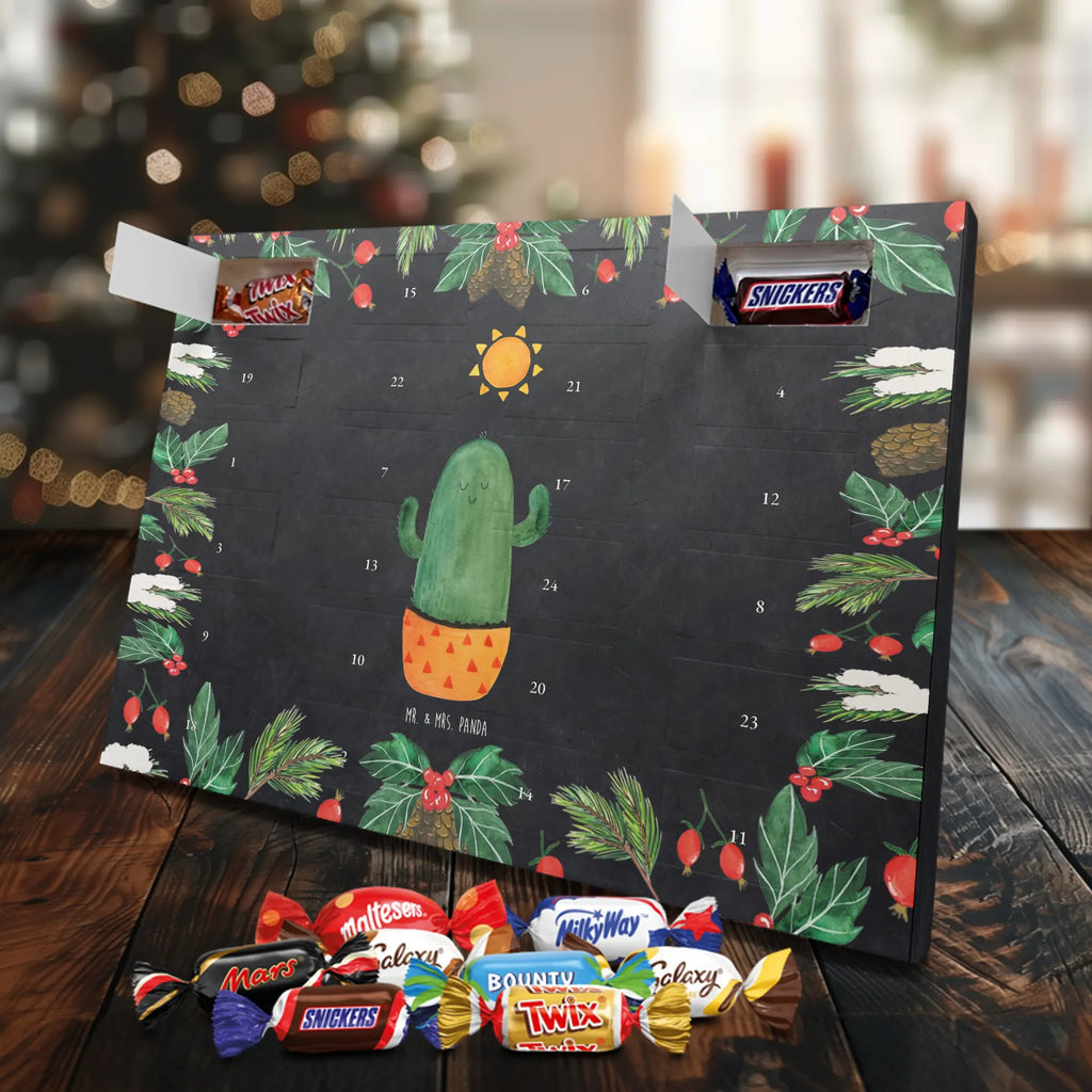 Chocolate advent calendar cactus Sun cactus, cactuses, plants, small green cactus, cactus plant, lovesickness, new start, gift idea, sun, lovesickness gift, divorce, girlfriend, adultery, separation, love cactus love