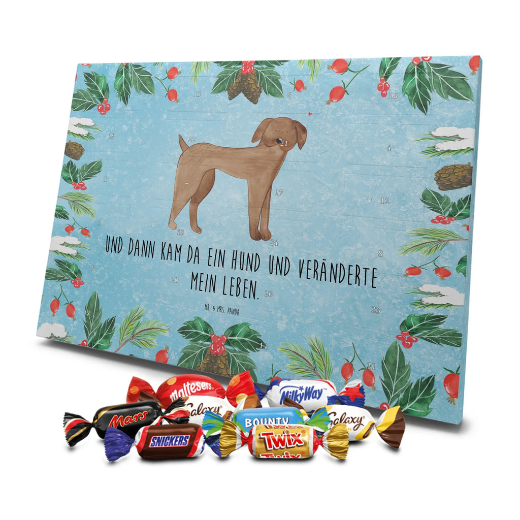 Chocolate advent calendar Dog mastiff mutt, dog sayings, love dogs, dog mama, funny gifts for dog owners, woof, what do you give a dog lover, dog breed, Christmas gifts for dogs, gifts for dogs, bag with dog print, love for dogs, hound, dog decorative items, Dogs