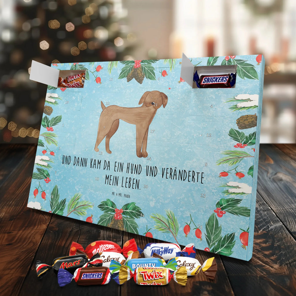 Chocolate advent calendar Dog mastiff mutt, dog sayings, love dogs, dog mama, funny gifts for dog owners, woof, what do you give a dog lover, dog breed, Christmas gifts for dogs, gifts for dogs, bag with dog print, love for dogs, hound, dog decorative items, Dogs