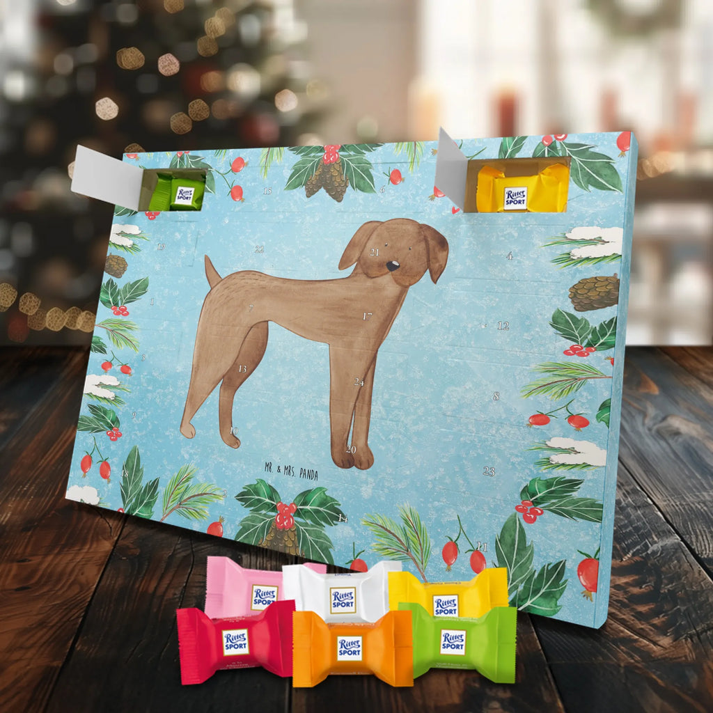 Chocolate advent calendar Dog mastiff mutt, dog sayings, love dogs, dog mama, funny gifts for dog owners, woof, what do you give a dog lover, dog breed, Christmas gifts for dogs, gifts for dogs, bag with dog print, love for dogs, hound, dog decorative items, Dogs