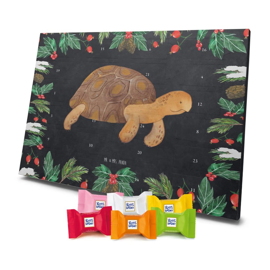 Chocolate advent calendar tortoise March manatee, vacation, aquatic animals, deep sea, underwater animals, seafood fans, underwater world, seafood posters, seafood decoration, whale, reef, water world, lobster, sea urchin, gift ideas, shrimp, narwhal, corals, gifts for seafood lovers, platypus, crocodile, shells, Seafood, ocean, adventure, new start, favourite person, turtles