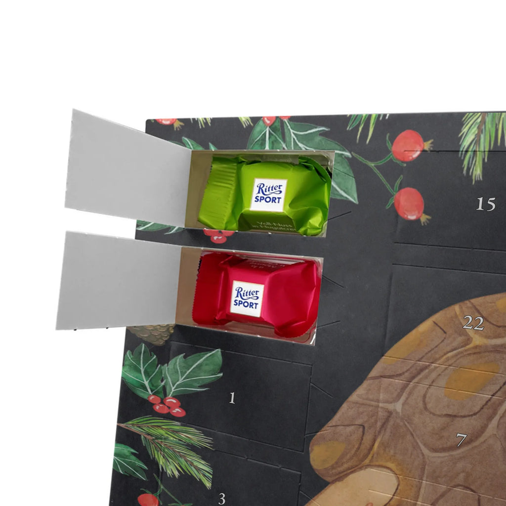 Chocolate advent calendar tortoise March manatee, vacation, aquatic animals, deep sea, underwater animals, seafood fans, underwater world, seafood posters, seafood decoration, whale, reef, water world, lobster, sea urchin, gift ideas, shrimp, narwhal, corals, gifts for seafood lovers, platypus, crocodile, shells, Seafood, ocean, adventure, new start, favourite person, turtles