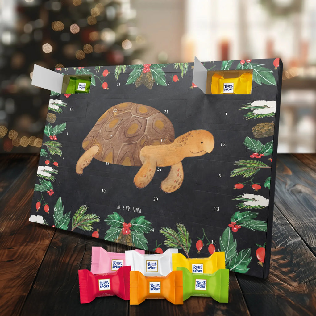 Chocolate advent calendar tortoise March manatee, vacation, aquatic animals, deep sea, underwater animals, seafood fans, underwater world, seafood posters, seafood decoration, whale, reef, water world, lobster, sea urchin, gift ideas, shrimp, narwhal, corals, gifts for seafood lovers, platypus, crocodile, shells, Seafood, ocean, adventure, new start, favourite person, turtles
