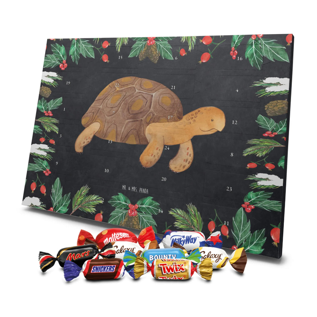 Chocolate advent calendar tortoise March manatee, vacation, aquatic animals, deep sea, underwater animals, seafood fans, underwater world, seafood posters, seafood decoration, whale, reef, water world, lobster, sea urchin, gift ideas, shrimp, narwhal, corals, gifts for seafood lovers, platypus, crocodile, shells, Seafood, ocean, adventure, new start, favourite person, turtles