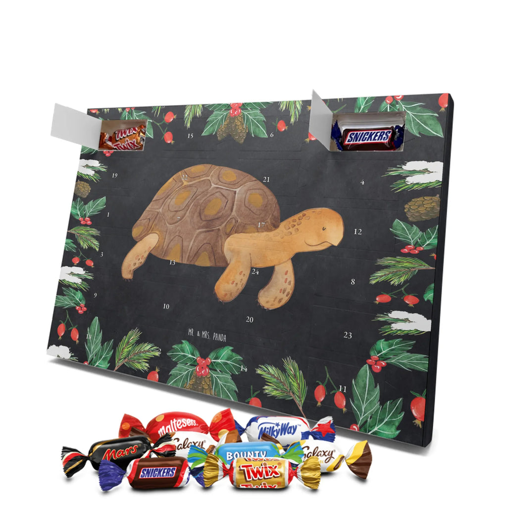 Chocolate advent calendar tortoise March manatee, vacation, aquatic animals, deep sea, underwater animals, seafood fans, underwater world, seafood posters, seafood decoration, whale, reef, water world, lobster, sea urchin, gift ideas, shrimp, narwhal, corals, gifts for seafood lovers, platypus, crocodile, shells, Seafood, ocean, adventure, new start, favourite person, turtles
