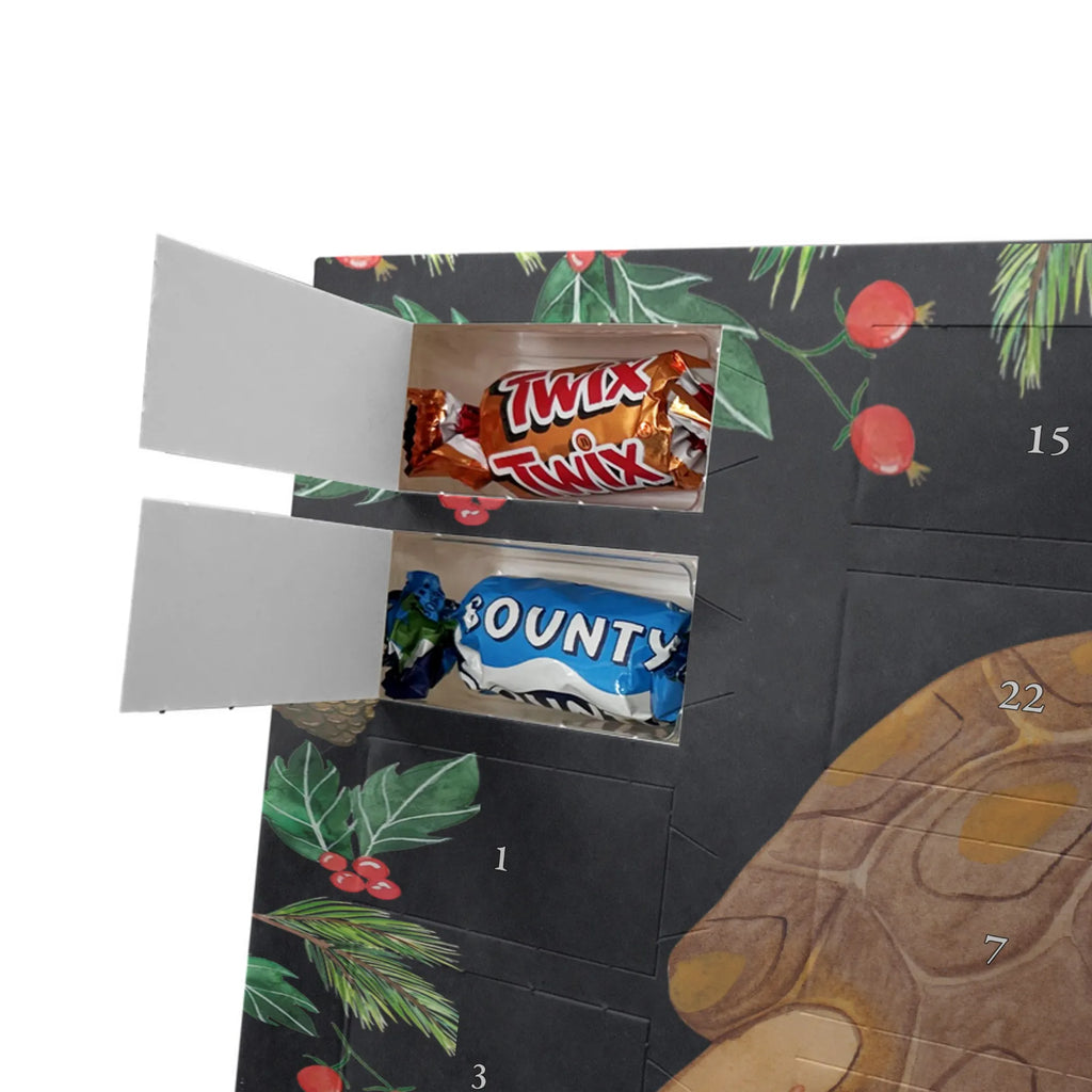 Chocolate advent calendar tortoise March manatee, vacation, aquatic animals, deep sea, underwater animals, seafood fans, underwater world, seafood posters, seafood decoration, whale, reef, water world, lobster, sea urchin, gift ideas, shrimp, narwhal, corals, gifts for seafood lovers, platypus, crocodile, shells, Seafood, ocean, adventure, new start, favourite person, turtles