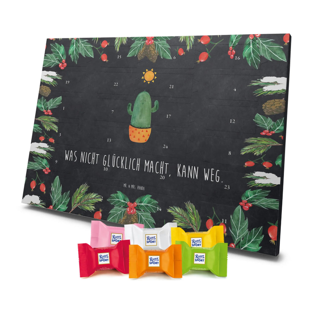  Kaktus Słońce Kaktusy