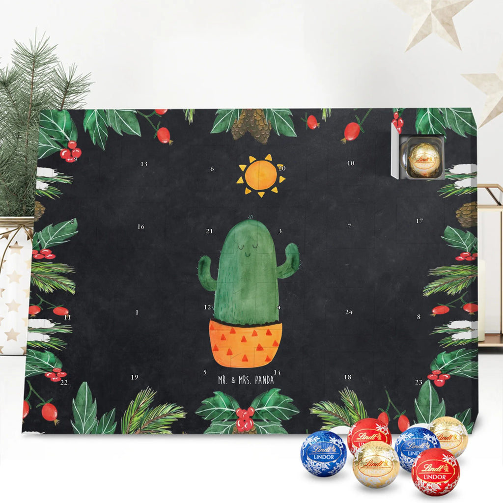 Chocolate advent calendar cactus Sun cactus, cactuses, plants, small green cactus, cactus plant, lovesickness, new start, gift idea, sun, lovesickness gift, divorce, girlfriend, adultery, separation, love cactus love