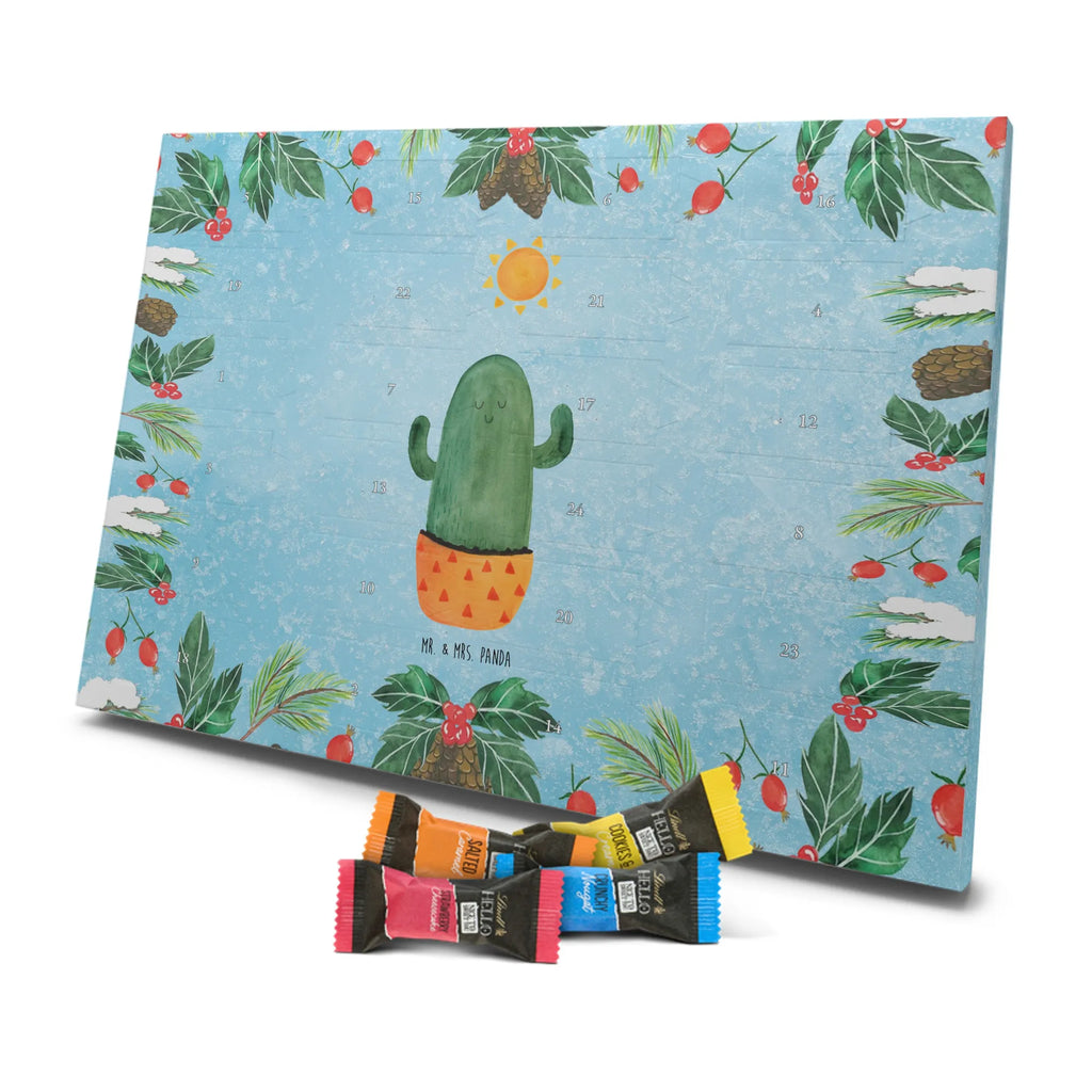 Chocolate advent calendar cactus Sun cactus, cactuses, plants, small green cactus, cactus plant, lovesickness, new start, gift idea, sun, lovesickness gift, divorce, girlfriend, adultery, separation, love cactus love