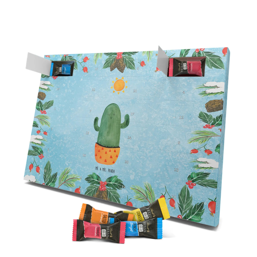 Chocolate advent calendar cactus Sun cactus, cactuses, plants, small green cactus, cactus plant, lovesickness, new start, gift idea, sun, lovesickness gift, divorce, girlfriend, adultery, separation, love cactus love