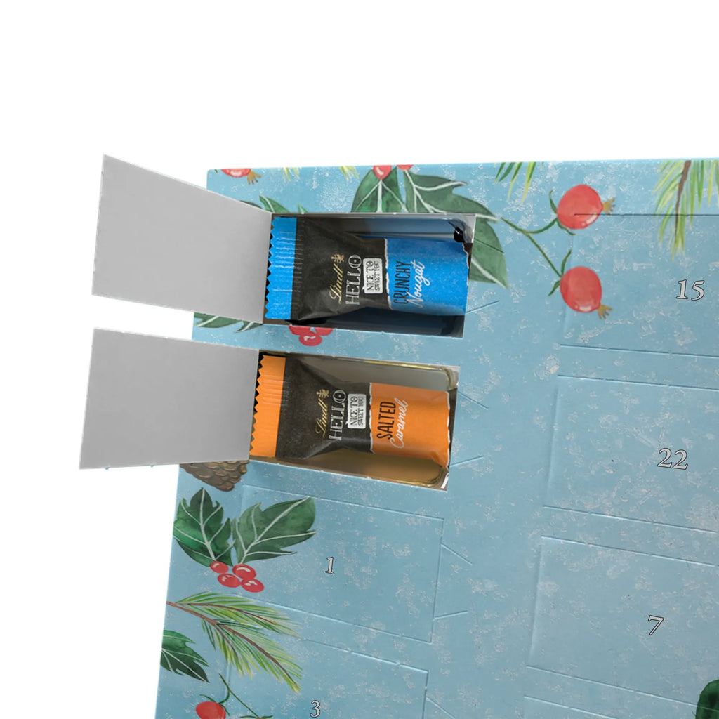 Chocolate advent calendar cactus Sun cactus, cactuses, plants, small green cactus, cactus plant, lovesickness, new start, gift idea, sun, lovesickness gift, divorce, girlfriend, adultery, separation, love cactus love