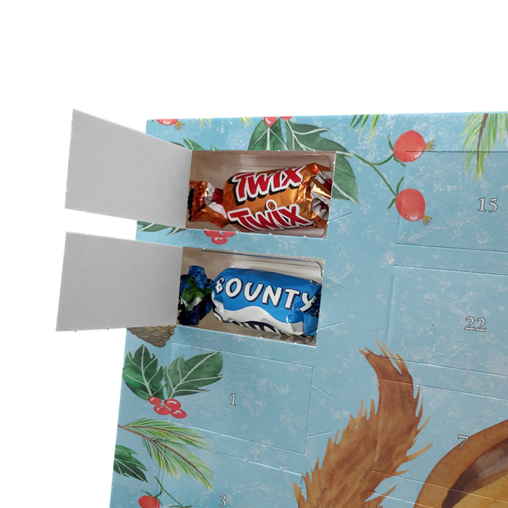 Chocolate advent calendar Squirrel smoothies gift ideas, gifts, small animals, good mood, cute, funny sayings, cute animal motives, hand drawn, special gifts, card, animal lover, chipmunks, squirrels, diet, weight loss