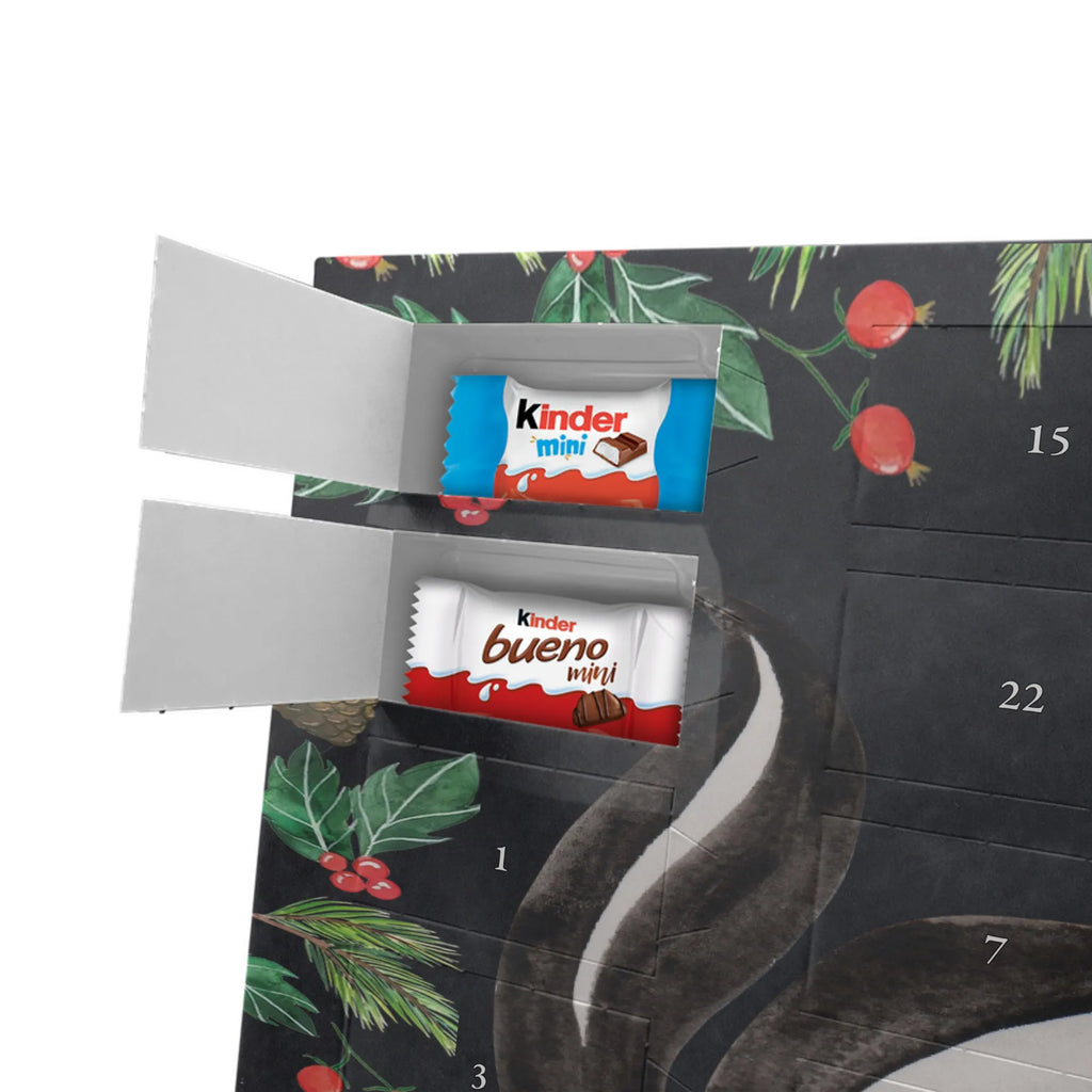 Chocolate advent calendar skunk yoga Stinky, Predator, Live, Wild animal, Laugh