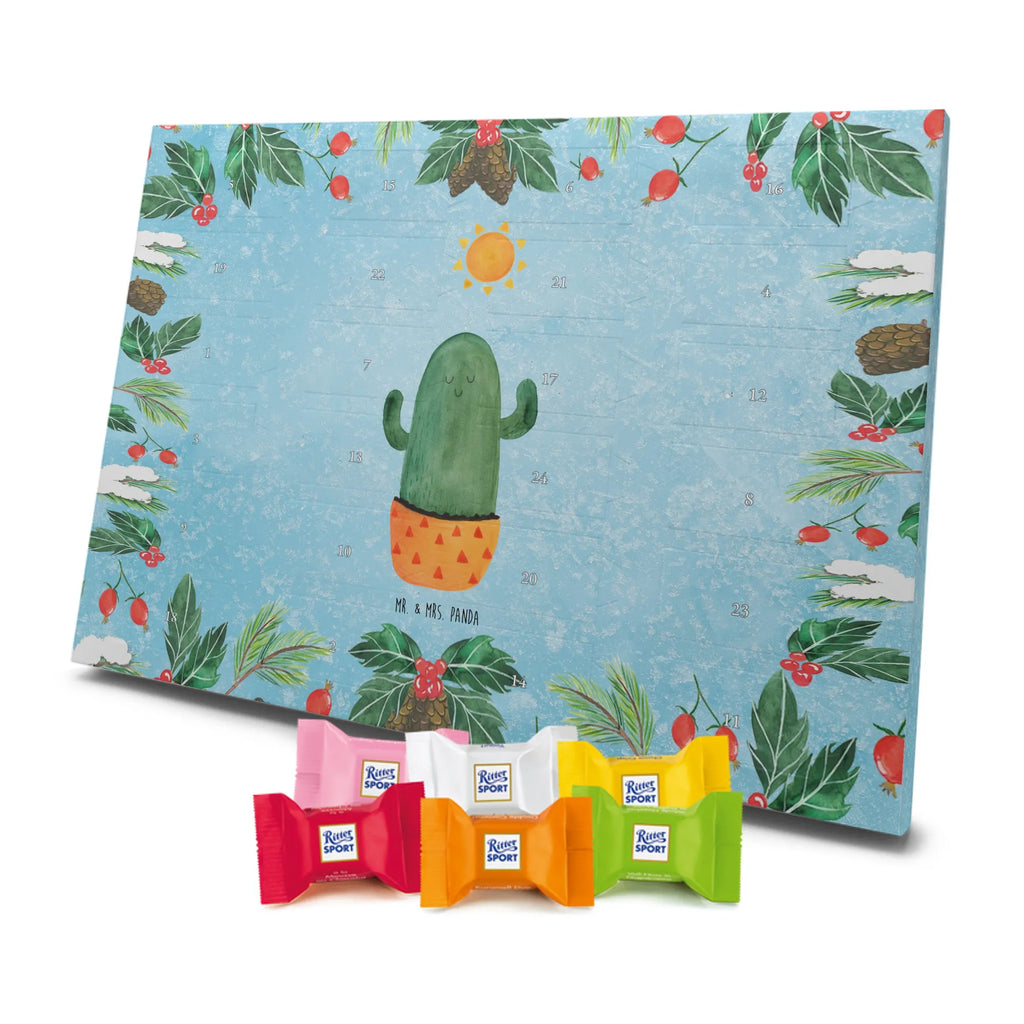 Chocolate advent calendar cactus Sun cactus, cactuses, plants, small green cactus, cactus plant, lovesickness, new start, gift idea, sun, lovesickness gift, divorce, girlfriend, adultery, separation, love cactus love