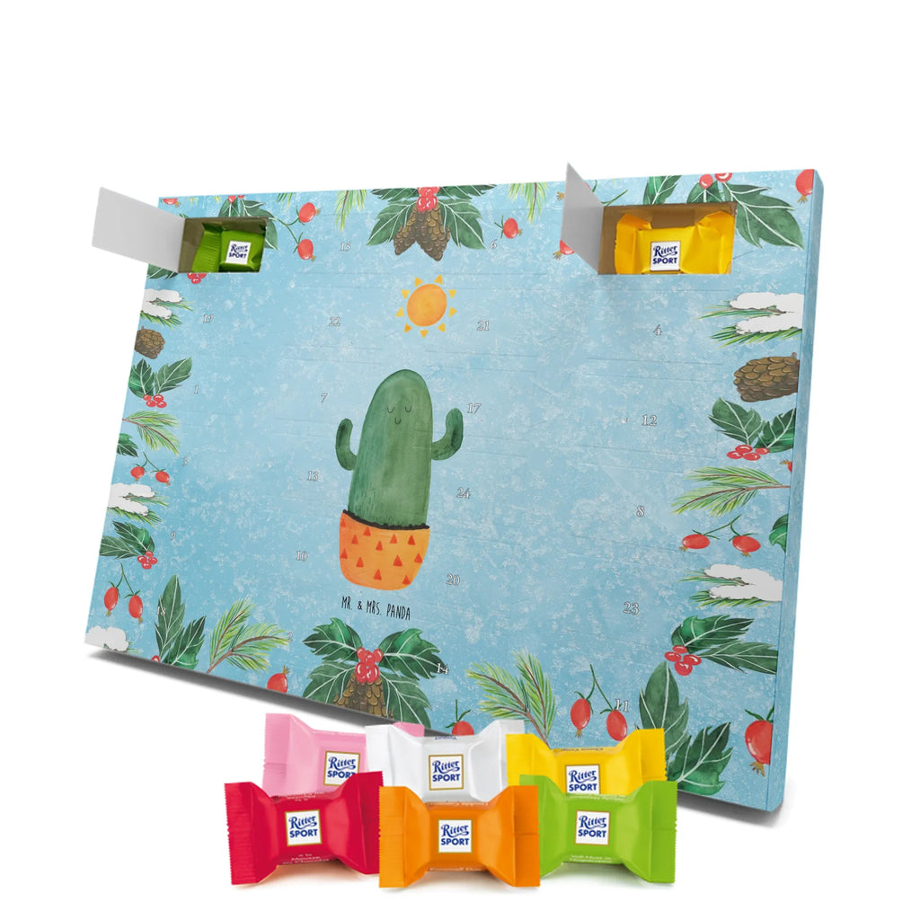 Chocolate advent calendar cactus Sun cactus, cactuses, plants, small green cactus, cactus plant, lovesickness, new start, gift idea, sun, lovesickness gift, divorce, girlfriend, adultery, separation, love cactus love