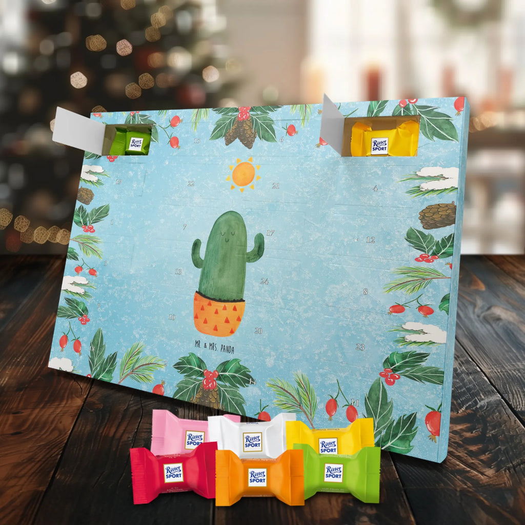Chocolate advent calendar cactus Sun cactus, cactuses, plants, small green cactus, cactus plant, lovesickness, new start, gift idea, sun, lovesickness gift, divorce, girlfriend, adultery, separation, love cactus love