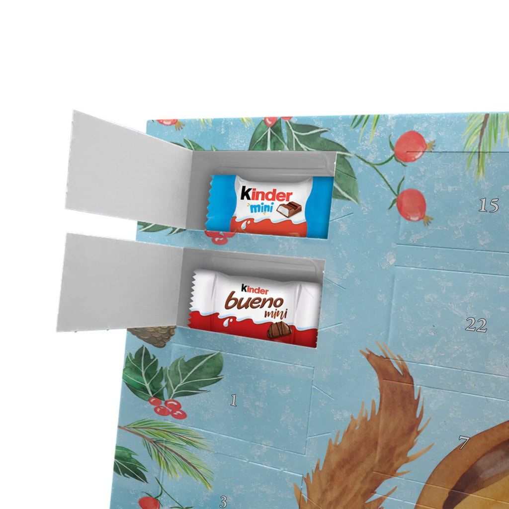 Chocolate advent calendar Squirrel smoothies gift ideas, gifts, small animals, good mood, cute, funny sayings, cute animal motives, hand drawn, special gifts, card, animal lover, chipmunks, squirrels, diet, weight loss