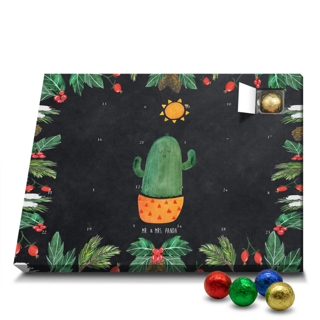 Chocolate advent calendar cactus Sun cactus, cactuses, plants, small green cactus, cactus plant, lovesickness, new start, gift idea, sun, lovesickness gift, divorce, girlfriend, adultery, separation, love cactus love