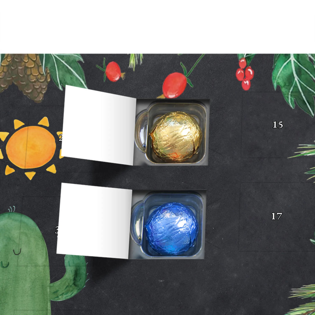 Chocolate advent calendar cactus Sun cactus, cactuses, plants, small green cactus, cactus plant, lovesickness, new start, gift idea, sun, lovesickness gift, divorce, girlfriend, adultery, separation, love cactus love