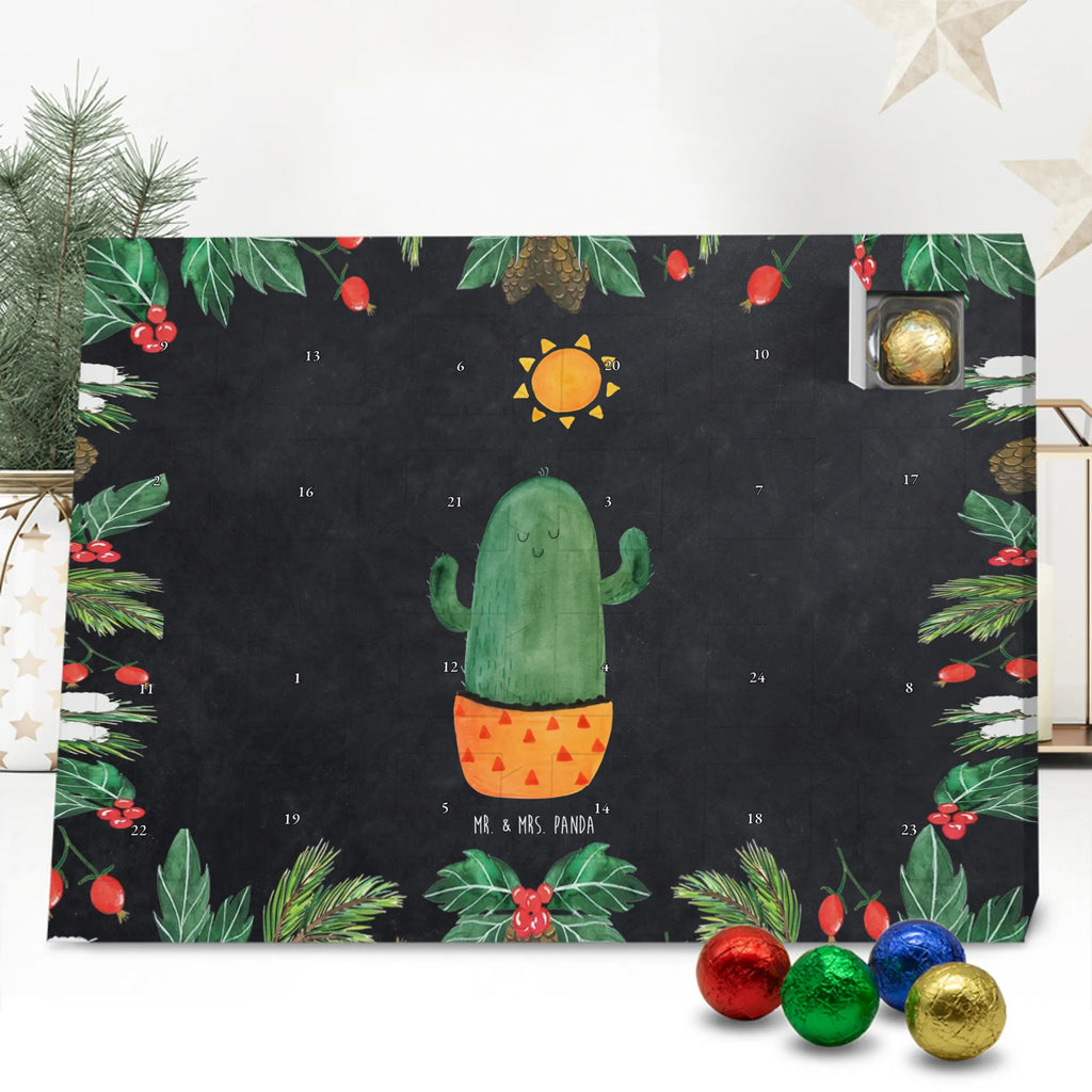 Chocolate advent calendar cactus Sun cactus, cactuses, plants, small green cactus, cactus plant, lovesickness, new start, gift idea, sun, lovesickness gift, divorce, girlfriend, adultery, separation, love cactus love