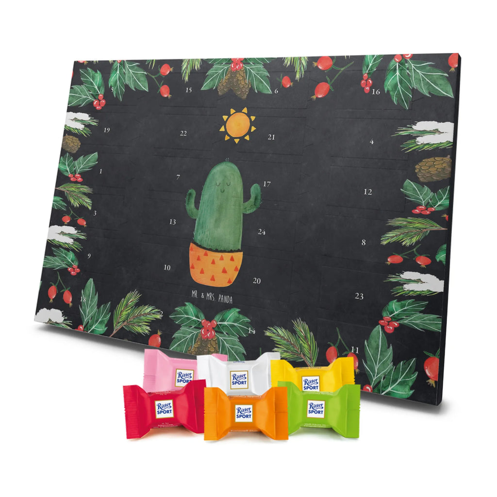 Chocolate advent calendar cactus Sun cactus, cactuses, plants, small green cactus, cactus plant, lovesickness, new start, gift idea, sun, lovesickness gift, divorce, girlfriend, adultery, separation, love cactus love