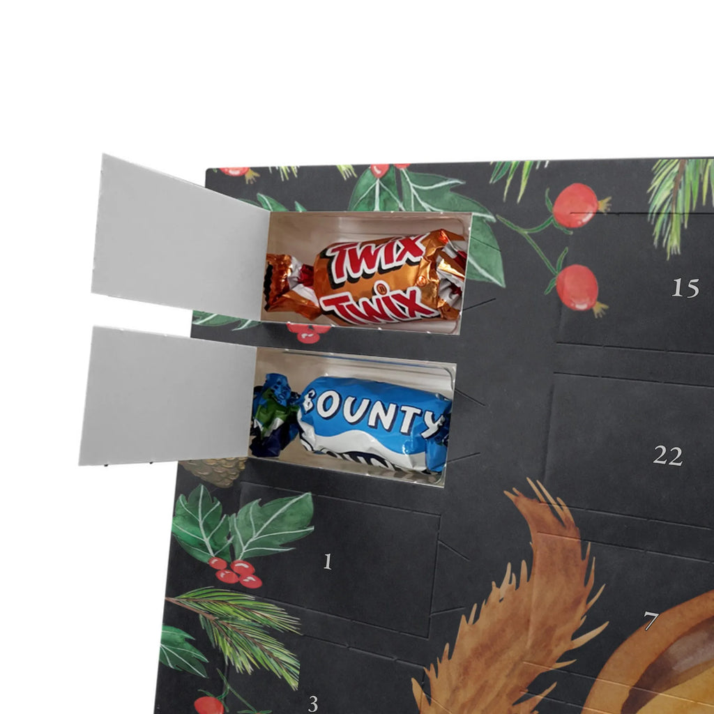 Chocolate advent calendar Squirrel smoothies gift ideas, gifts, small animals, good mood, cute, funny sayings, cute animal motives, hand drawn, special gifts, card, animal lover, chipmunks, squirrels, diet, weight loss
