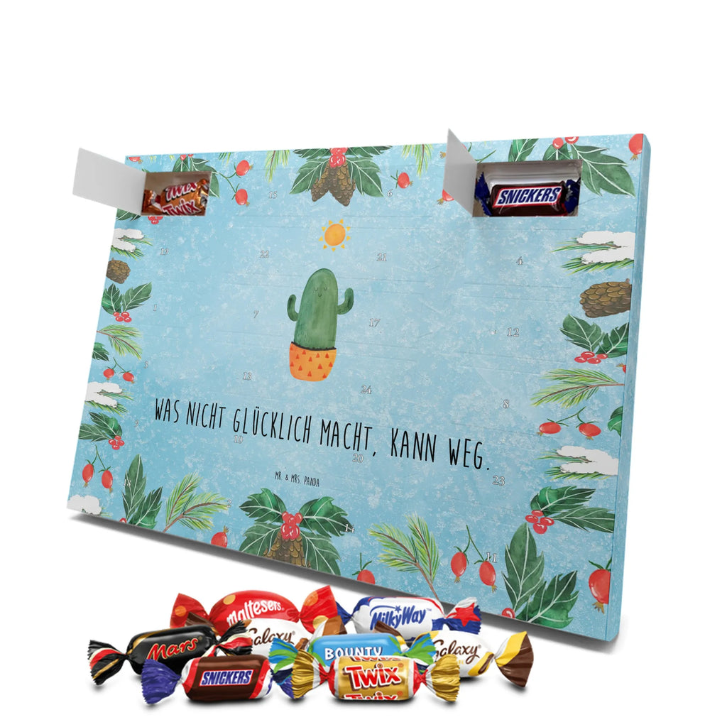 Chocolate advent calendar cactus Sun cactus, cactuses, plants, small green cactus, cactus plant, lovesickness, new start, gift idea, sun, lovesickness gift, divorce, girlfriend, adultery, separation, love cactus love