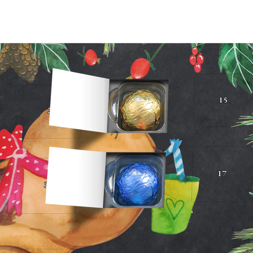 Chocolate advent calendar Squirrel smoothies gift ideas, gifts, small animals, good mood, cute, funny sayings, cute animal motives, hand drawn, special gifts, card, animal lover, chipmunks, squirrels, diet, weight loss