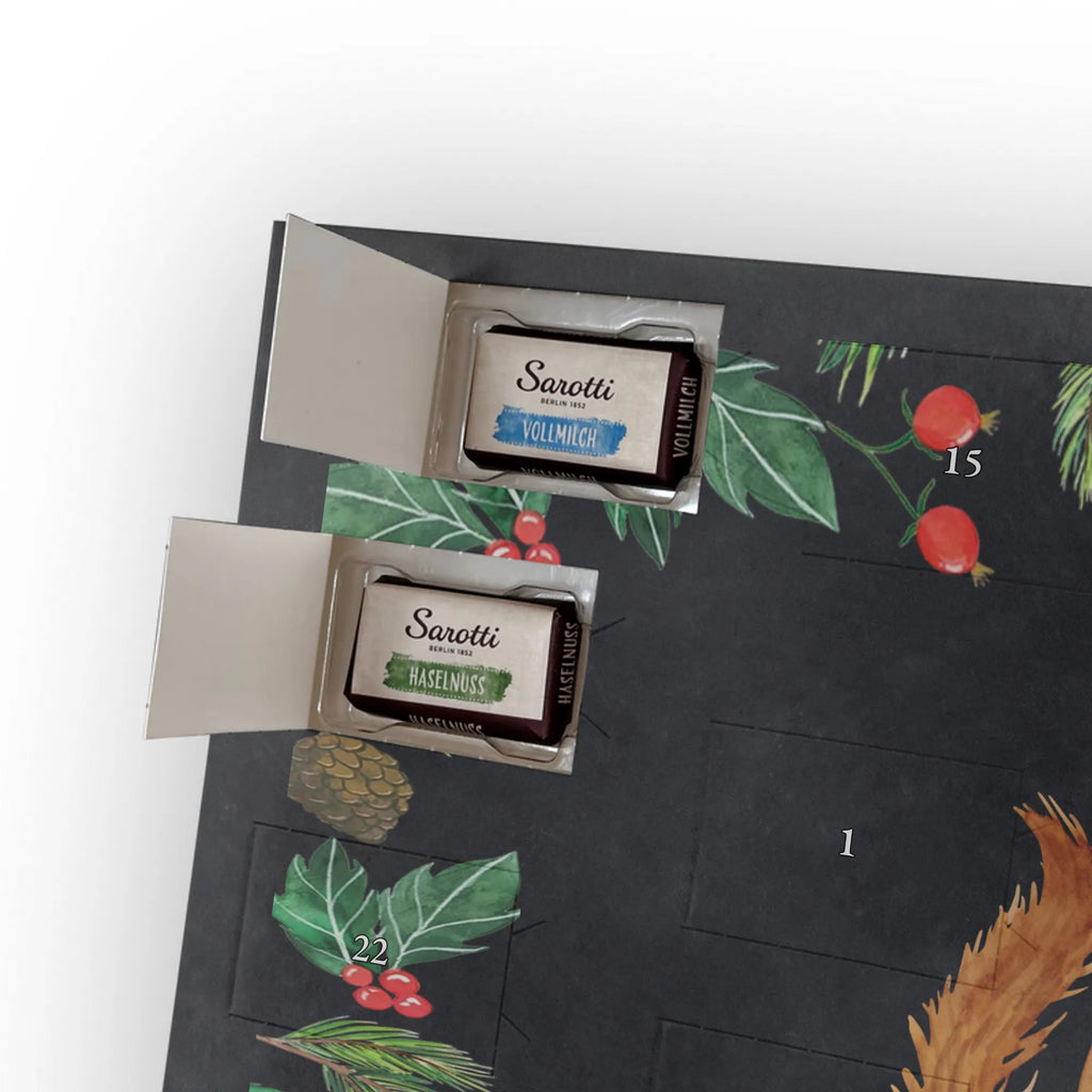 Chocolate advent calendar Squirrel smoothies gift ideas, gifts, small animals, good mood, cute, funny sayings, cute animal motives, hand drawn, special gifts, card, animal lover, chipmunks, squirrels, diet, weight loss