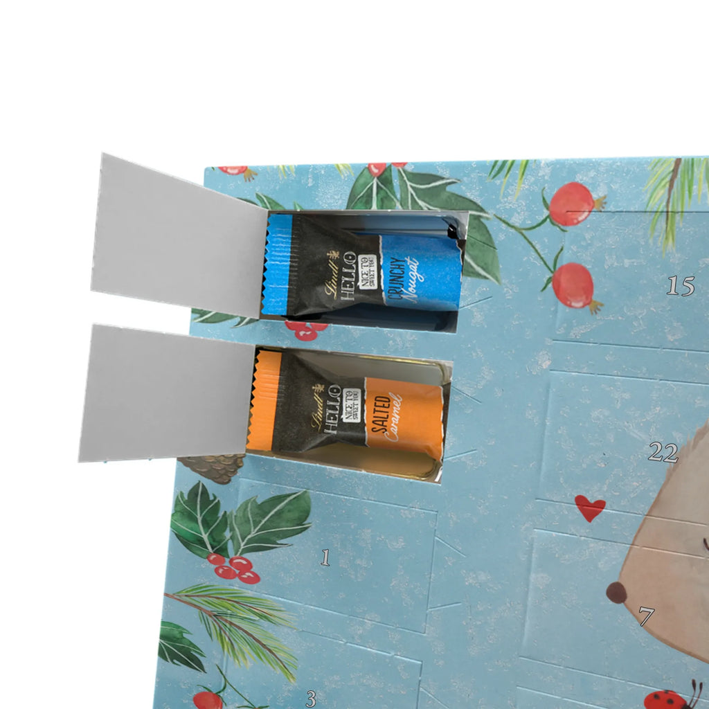 Chocolate advent calendar bear ladybug cuddly toy, teddy bear, life is beautiful, ladybird, freedom