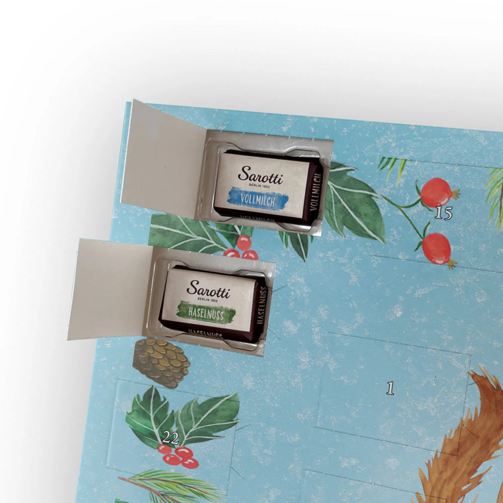 Chocolate advent calendar Squirrel smoothies gift ideas, gifts, small animals, good mood, cute, funny sayings, cute animal motives, hand drawn, special gifts, card, animal lover, chipmunks, squirrels, diet, weight loss