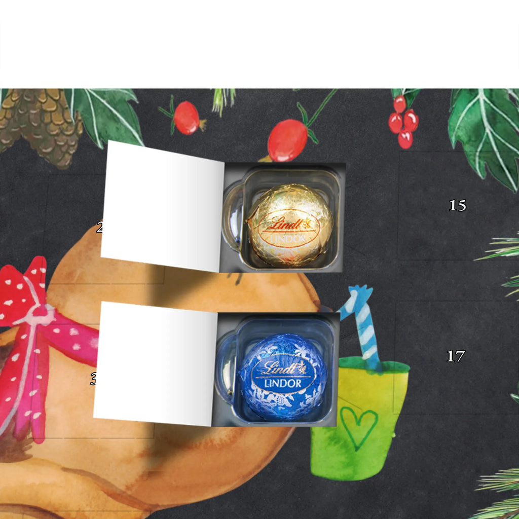 Chocolate advent calendar Squirrel smoothies gift ideas, gifts, small animals, good mood, cute, funny sayings, cute animal motives, hand drawn, special gifts, card, animal lover, chipmunks, squirrels, diet, weight loss