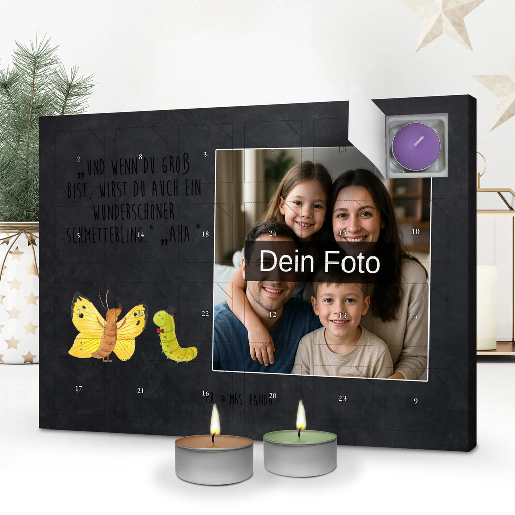  gąsienica motyl Motywy zwierzęce, dobra energia, zabawne powiedzonka, zwierzęta