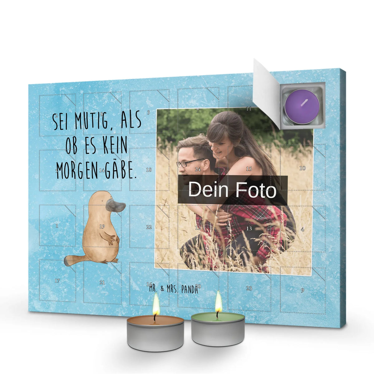  dziobak Odwaga Zwierzeta morskie, Morze, Wakacje