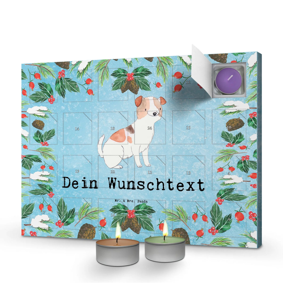  Jack Russell Terrier chwila dawanie, prezent, Pies, rasa psa, pies rasowy, właściciel psa, miłośnik zwierząt, szczeniak