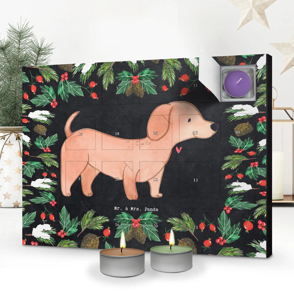  Jamnik krótkowłosy Chwila dawanie, prezent, Pies, rasa psa, pies rasowy, właściciel psa, miłośnik zwierząt, szczeniak