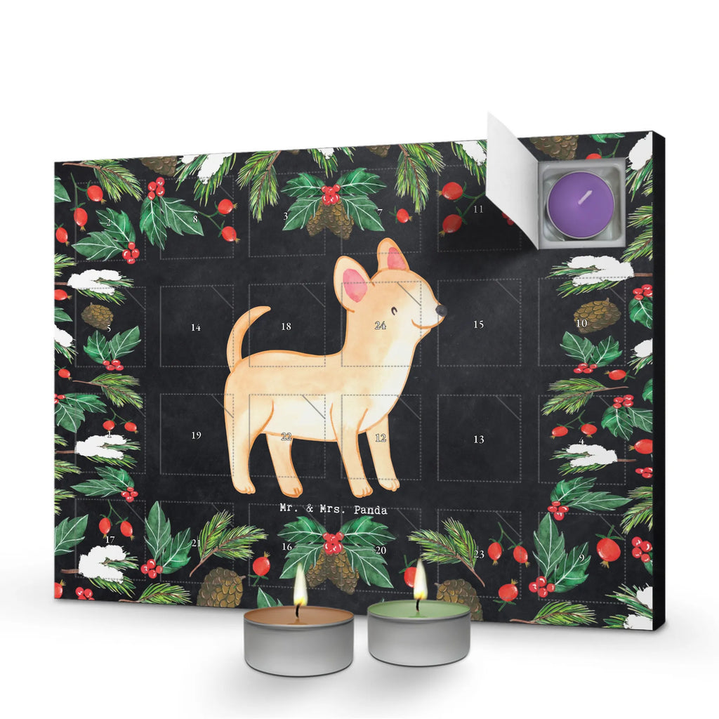 Adventskalender Chihuahua Moment duft kalender, Weihnachtskalender, duftkerzenkalender, adventskalender duftkerzen, Adventskalender, aroma adventskalender, adventskerzen kalender, raumduft adventskalender, Duftkerzen Adventskalender, adventskalender mit duftkerzen, adventskalender mit kerzen, Kerzen Adventskalender, advent kalender, kerzenkalender, weihnachts adventskalender, adventskalender kerzen, duft adventskalender, Hund, Geschenk, Schenken, Hunderasse, Rassehund, Hundebesitzer, Tierfreund, Welpe, Chihuahua