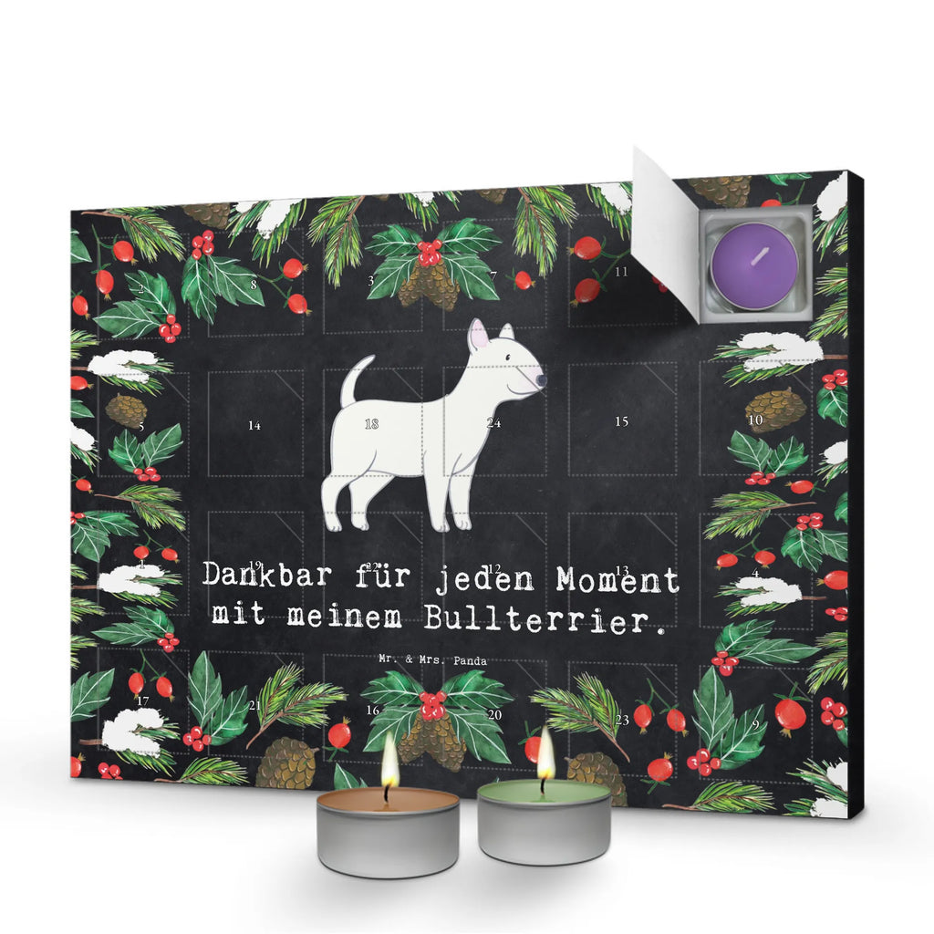  Bullterrier chwila dawanie, prezent, Pies, rasa psa, pies rasowy, właściciel psa, miłośnik zwierząt, szczeniak