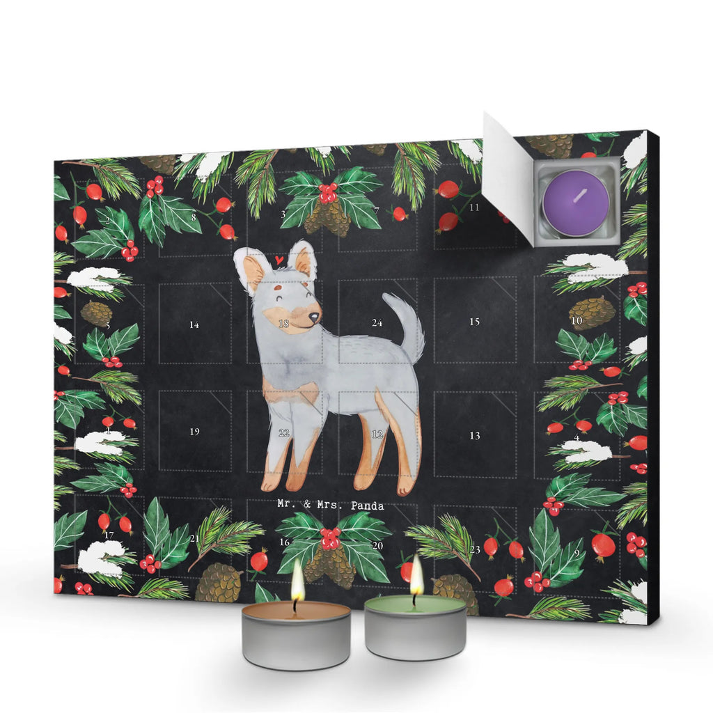  Praski Rattler Chwila dawanie, prezent, Pies, rasa psa, pies rasowy, właściciel psa, miłośnik zwierząt, szczeniak