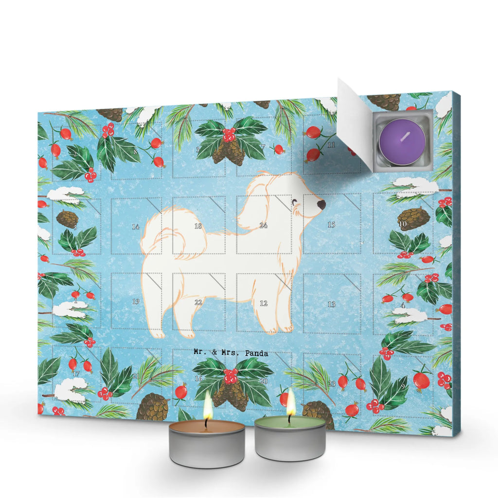Adventskalender Havaneser Moment kerzenkalender, adventskalender mit duftkerzen, Kerzen Adventskalender, Duftkerzen Adventskalender, adventskalender mit kerzen, aroma adventskalender, duft adventskalender, Adventskalender, advent kalender, duft kalender, Weihnachtskalender, adventskalender kerzen, duftkerzenkalender, adventskalender duftkerzen, adventskerzen kalender, weihnachts adventskalender, raumduft adventskalender, Hund, Hunderasse, Geschenk, Rassehund, Hundebesitzer, Tierfreund, Welpe, Schenken, Havaneser, Bichon Havanais, Havi, Bichón Habanero